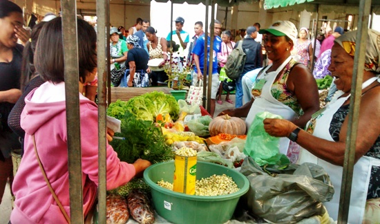 Agricultores comercializam seus produtos em Feira Agroecológica organizada pela APAEB Serrinha