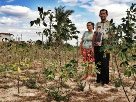 Estiagem levou casal Teônia Lopes e Genivaldo Pereira a trazer fécula do Paraná para produzir beiju em Coité 