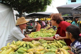 Deputada agora na luta para eleger Dilma, pois para ela é unica para ajudar a Bahia continuar desenvolvendo.