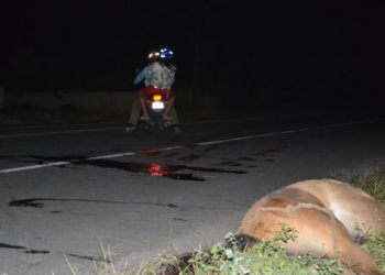 Coité – Dois homens ficam feridos ao atropelar cavalo na BA 120