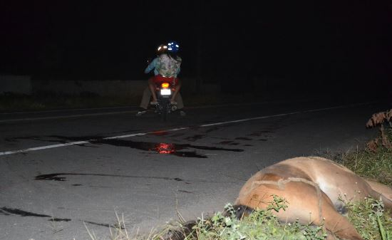 Coité – Dois homens ficam feridos ao atropelar cavalo na BA 120