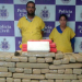 Operação conjunta prende casal com quase 360 kg de drogas avaliadas em R$ 500 mil