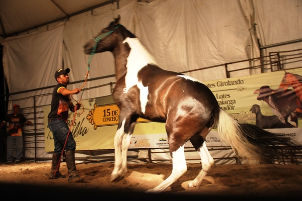 Coité – Depois de leilão coberto de êxito, Haras Baunilha promove cavalgada