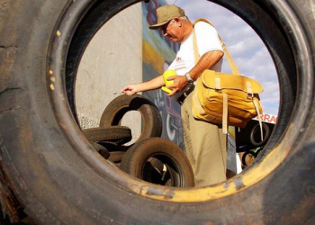 Valente, Araci e Nordestina  estão em estado de alerta por dengue, aponta Ministério da Saúde