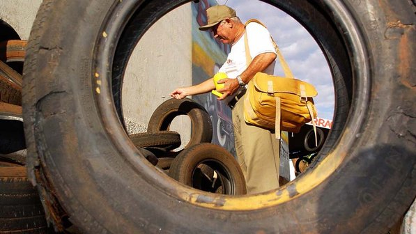 Valente, Araci e Nordestina  estão em estado de alerta por dengue, aponta Ministério da Saúde