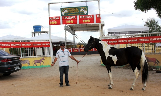 Leilão do Haras Baunilha promete ser o maior da região sisaleira em quantidade e qualidade de animais