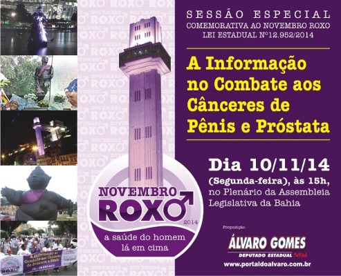 novembro roxo