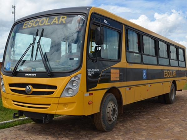 Porta de ônibus escolar se abre e crianças caem na rua
