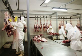 Seagri anuncia construção de matadouro frigorífico em 11 municípios baianos