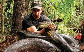 Naturalista que seria engolido vivo por anaconda desiste de desafio; veja vídeo