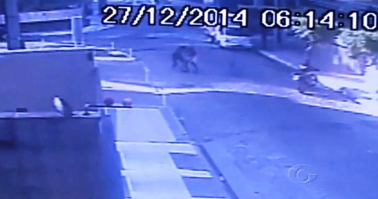 PM de Feira de Santana é morto durante assalto em Maceió; suspeito é preso horas depois