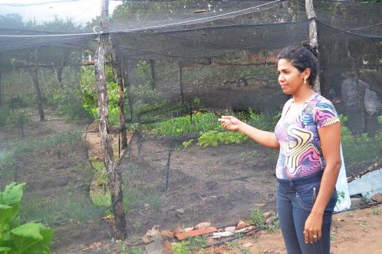 Experiência bem sucedida em Serrinha beneficiará mil famílias com galinheiros e hortas no território do sisal