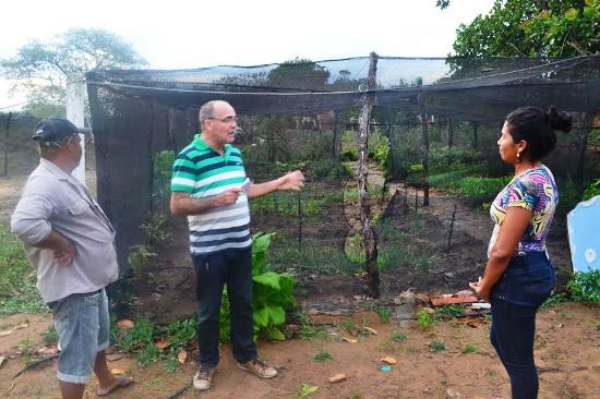 Experiência bem sucedida em Serrinha beneficiará mil famílias com galinheiros e hortas no território do sisal