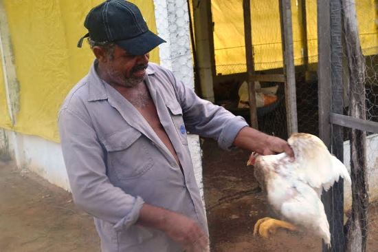 Experiência bem sucedida em Serrinha beneficiará mil famílias com galinheiros e hortas no território do sisal