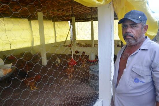 Experiência bem sucedida em Serrinha beneficiará mil famílias com galinheiros e hortas no território do sisal