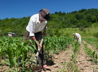 Advogados são acusados de extorquir trabalhadores rurais