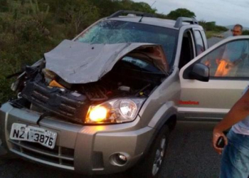 Motorista de Queimadas escapa ileso após atropelar cavalo na BA-120