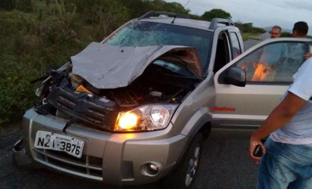 Motorista de Queimadas escapa ileso após atropelar cavalo na BA-120