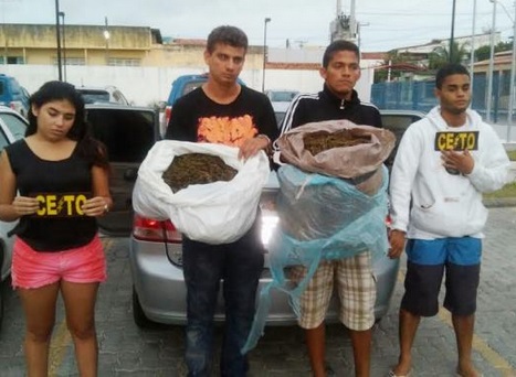 Grupo é preso com 14 kg de maconha na BR-116 Norte