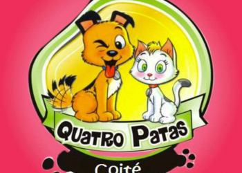 Projeto ‘Quatro Patas’ resgata e cuida de cães e gatos abandonados