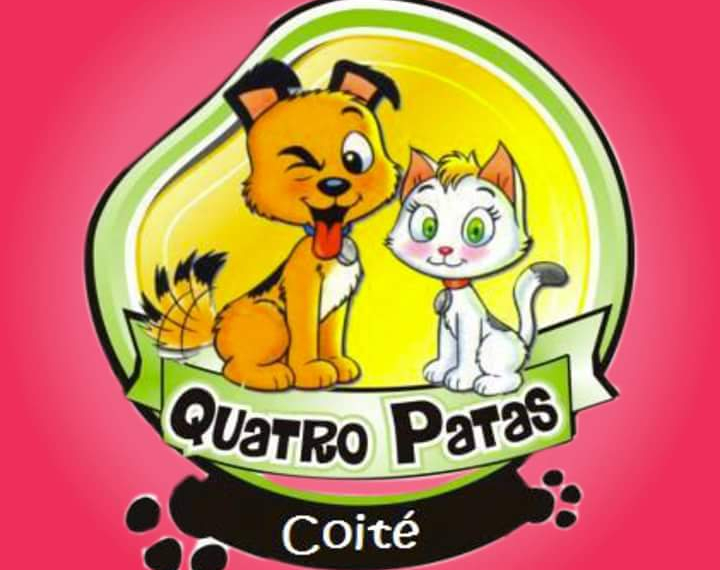 Projeto ‘Quatro Patas’ resgata e cuida de cães e gatos abandonados