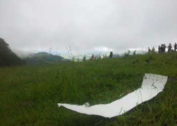 Aeronave cai em mata e 4 pessoas morrem em Bueno Brandão, MG