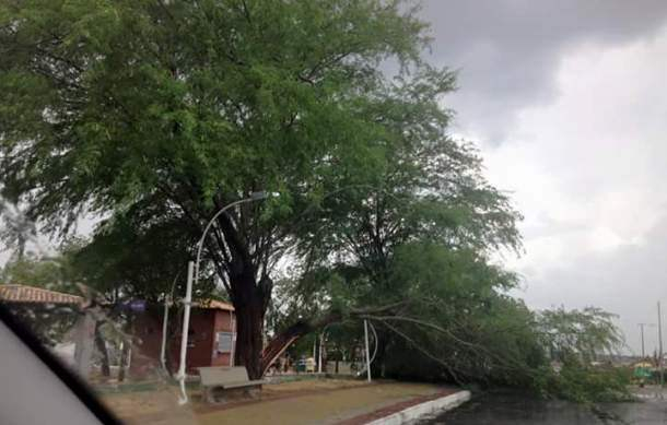 Chuva acompanhada de vento forte destelha casas e derruba árvores em Valente