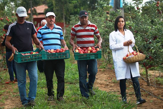 maça em morro do chapéu-2