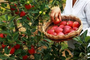 Uma das cidades mais frias da Bahia torna a cultura favorável.