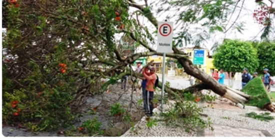 Forte temporal causa destruição e apagão na cidade de Monte Santo