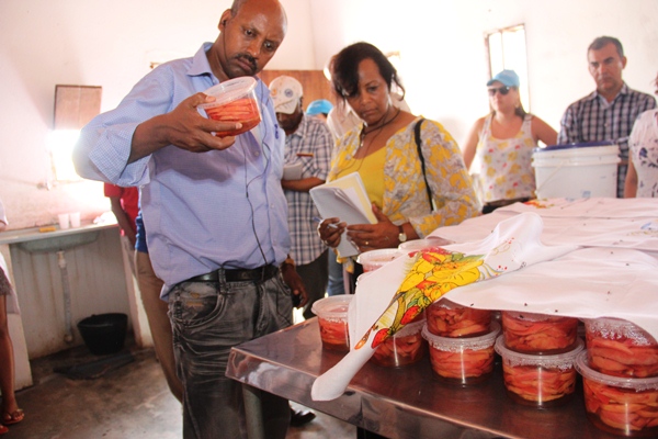 Visita de Delegação da Etiópia (76)