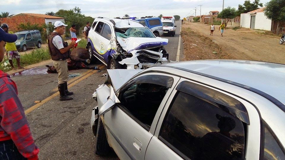Veículo da Prefeitura bate de frente com outro depois de atropelar animal na BA 417