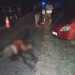 Professor do Senac é assassinado no distrito de Bonfim de Feira