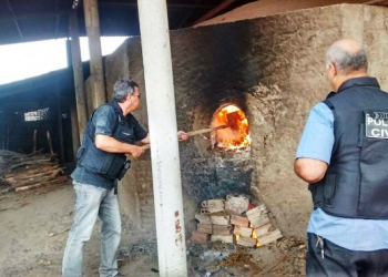 Justiça determina incineração dos 50 kg de maconha apreendidos em Nova Fátima