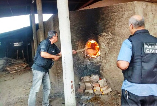 Justiça determina incineração dos 50 kg de maconha apreendidos em Nova Fátima
