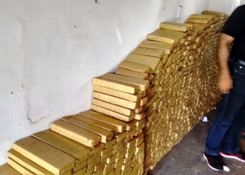 PF apreende mais de uma tonelada de maconha em Feira de Santana