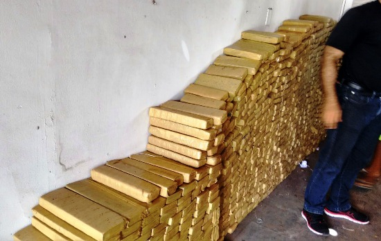 PF apreende mais de uma tonelada de maconha em Feira de Santana