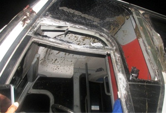 onibus da plena atingido por vacas