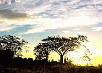 Curta metragem mostra a beleza das paisagens do território do Sisal