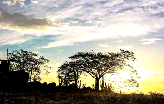 Curta metragem mostra a beleza das paisagens do território do Sisal