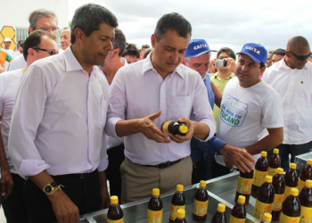 Tucano II – Investimento na apicultura fortalece Agricultura Familiar do Território do Sisal