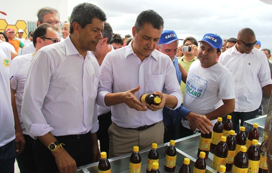 Tucano II – Investimento na apicultura fortalece Agricultura Familiar do Território do Sisal