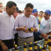 Tucano II – Investimento na apicultura fortalece Agricultura Familiar do Território do Sisal