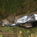 Coité – Motorista desce ribanceira, abandona carro e não aparece em hospital