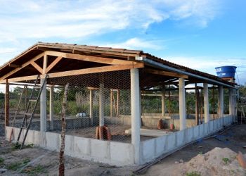 Prefeitura e CONSISAL dão início à construção de galinheiros estruturados e cisternas