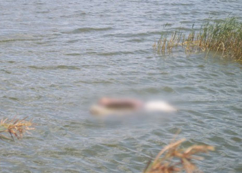 Duas crianças morrem afogadas em açude na zona rural de Santaluz