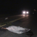 Após deitar em rodovia, homem morre atropelado