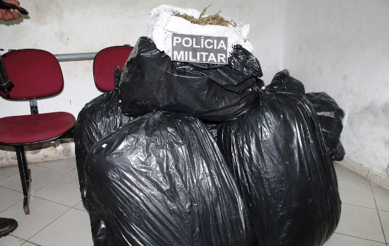 Homem que transportava 110 kg de maconha fura blitz da PM e morre durante troca de tiros em Serrinha