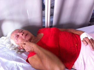 Idosa é atacada por enxame de abelhas em Barrocas; ataque causou pânico na cidade