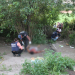 Adolescente de 16 anos é morto a tiros em Serrinha; vítima tinha envolvimento com drogas